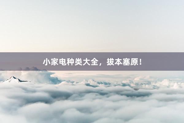 小家电种类大全，拔本塞原！